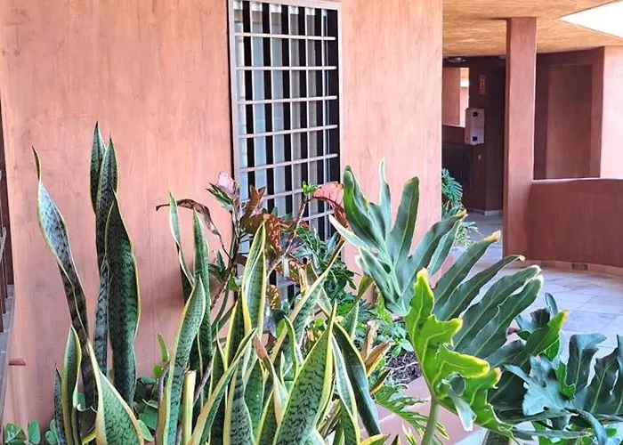 Casa Lucia 滨海帕尔姆